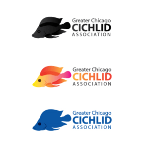 Cichlid Logo - Cichlid Logo Designs | 7 Logos to Browse