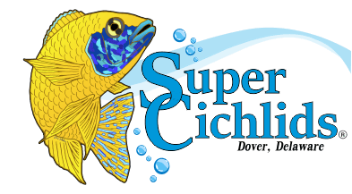 Cichlid Logo - Super Cichlids Interview - The Cichlid Stage