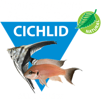 Cichlid Logo - Cichlid Diet (All Cichlids) | Kordon