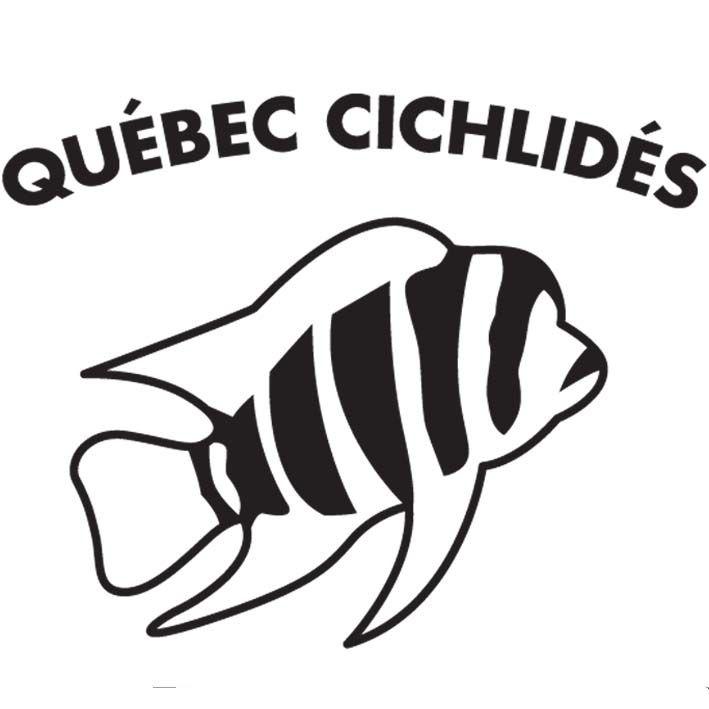 Cichlid Logo - Québec Cichlidés, Store specialized in tropical fish