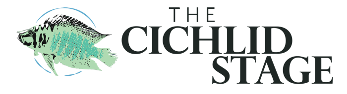 Cichlid Logo - The Cichlid Stage - The most comprehensive cichlid blog on the Web!