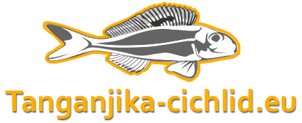 Cichlid Logo - Tanganjika-cichlid.eu | Tanganjika-cichlid.eu