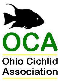 Cichlid Logo - Ohio Cichlid Association - The Free Freshwater and Saltwater ...