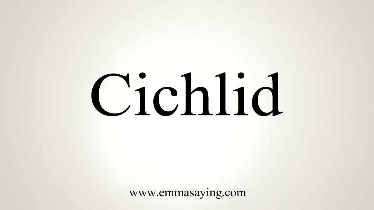 Cichlid Logo - How to Pronounce Cichlid - YouTube