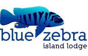 Cichlid Logo - Blue Zebra Island Lodge | Cichlids