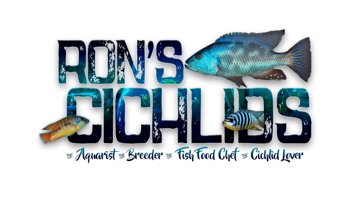 Cichlid Logo - Ron's Cichlids - Breeding African Cichlid Fish Species – Rons Cichlids