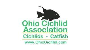 Cichlid Logo - Ohio Cichlid Association