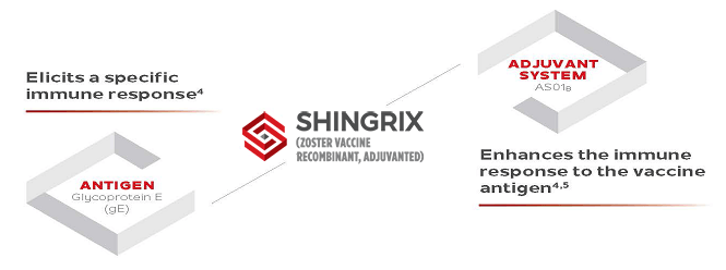 Shingrix Logo - Mechanism of Action