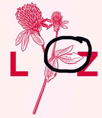 Lovelyz Logo - Lovelyz' new beautiful logo 