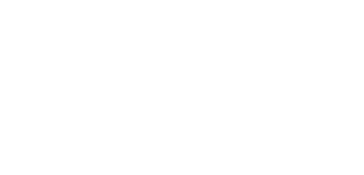 BIC Logo - BIC Services | Sustainable Cleaning Solutions