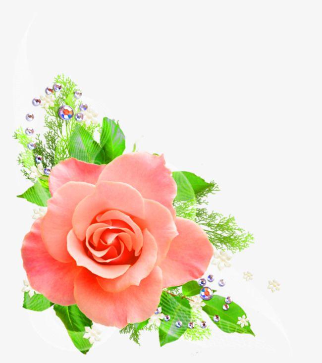 Pink Flower Logo - Flower Decoration Logo Logo Community, Flower Clipart, Logo Clipart ...