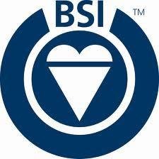 BSI Logo - BSI-logo - Super Seal