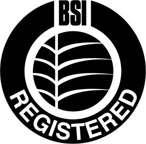 BSI Logo - BSI Logo Vector (.EPS) Free Download