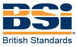 BSI Logo - bsi-logo | 2012 Security