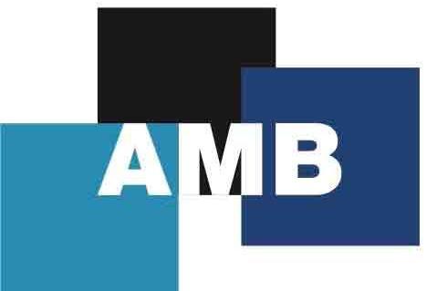 Amb Logo - Our History