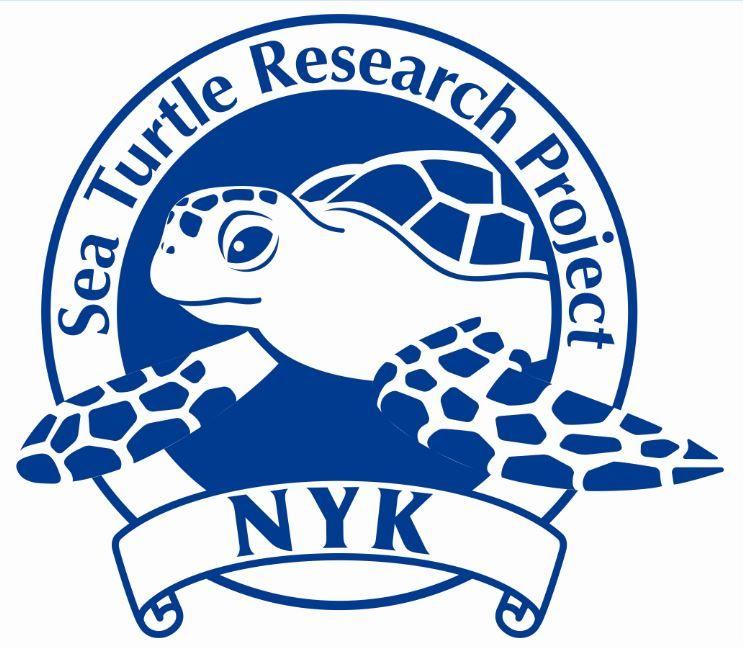NYK Logo - NYK Sponsors Sea Turtle Research | NYK Line