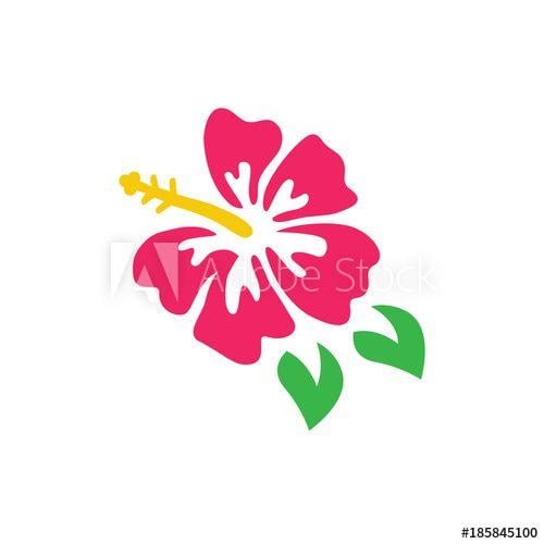 Pink Flower Logo - Pink hibiscus vector graphic. Hibiscus flower logo isolated on white