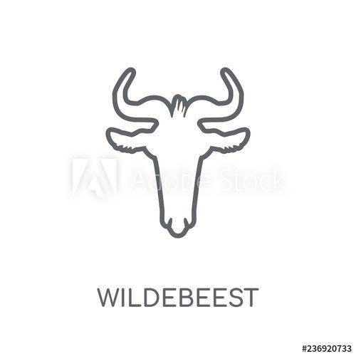 Wildebeest Logo - Wildebeest linear icon. Modern outline Wildebeest logo concept