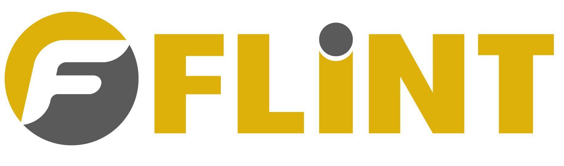 Flint Logo - Marketing Consultancy Surrey