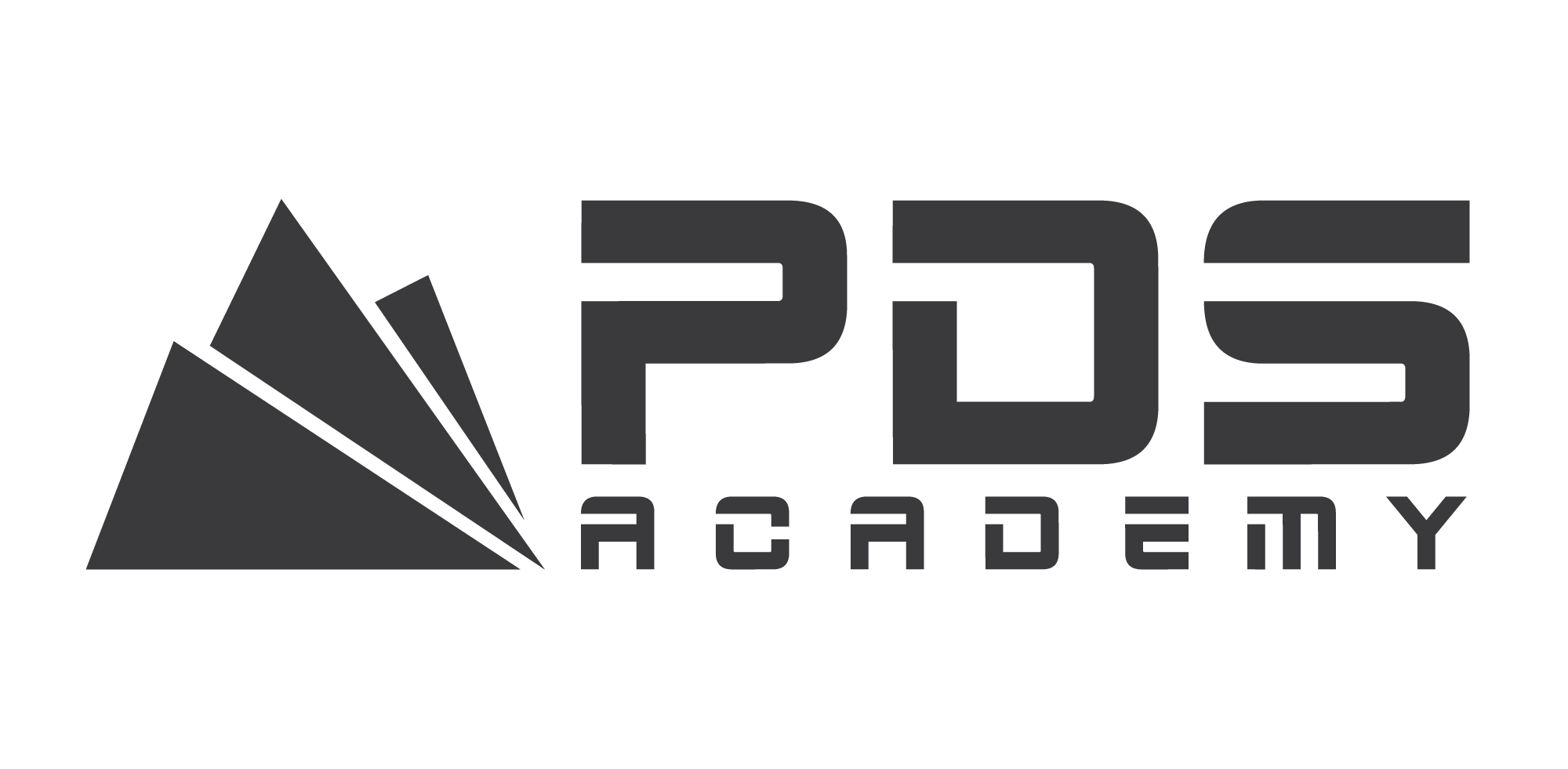 PDS Logo - British Ski School | PDS Academy | Private and Group Lessons