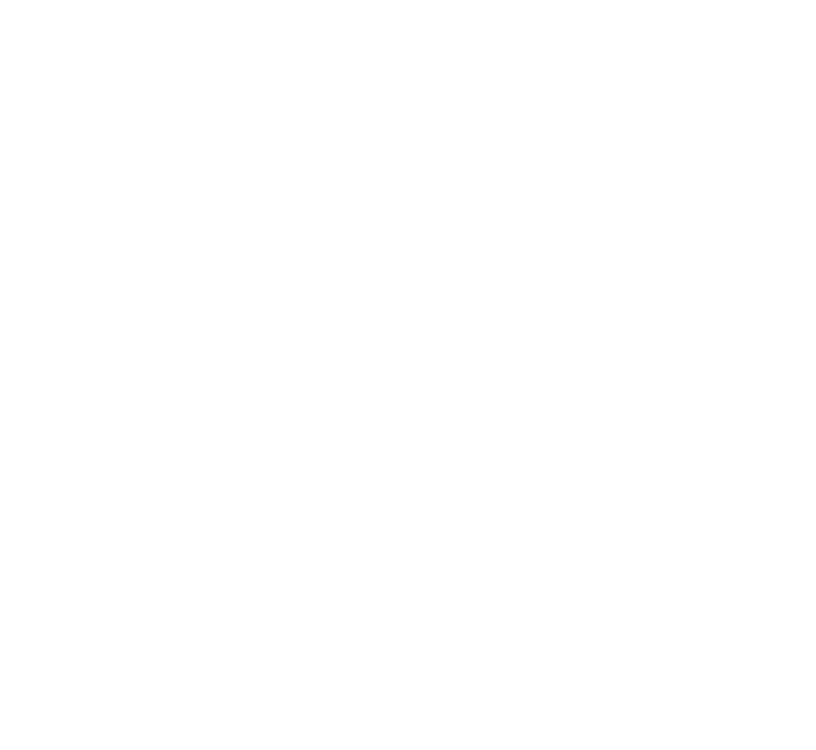 SLI Logo - SLI - Satisfaction Level Indicator