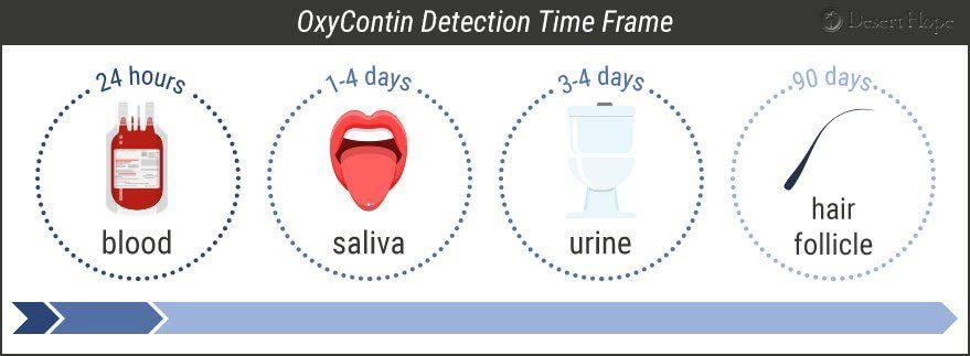 Oxycontin Logo - How Long Does Oxycontin Stay in Your System? - Desert Hope