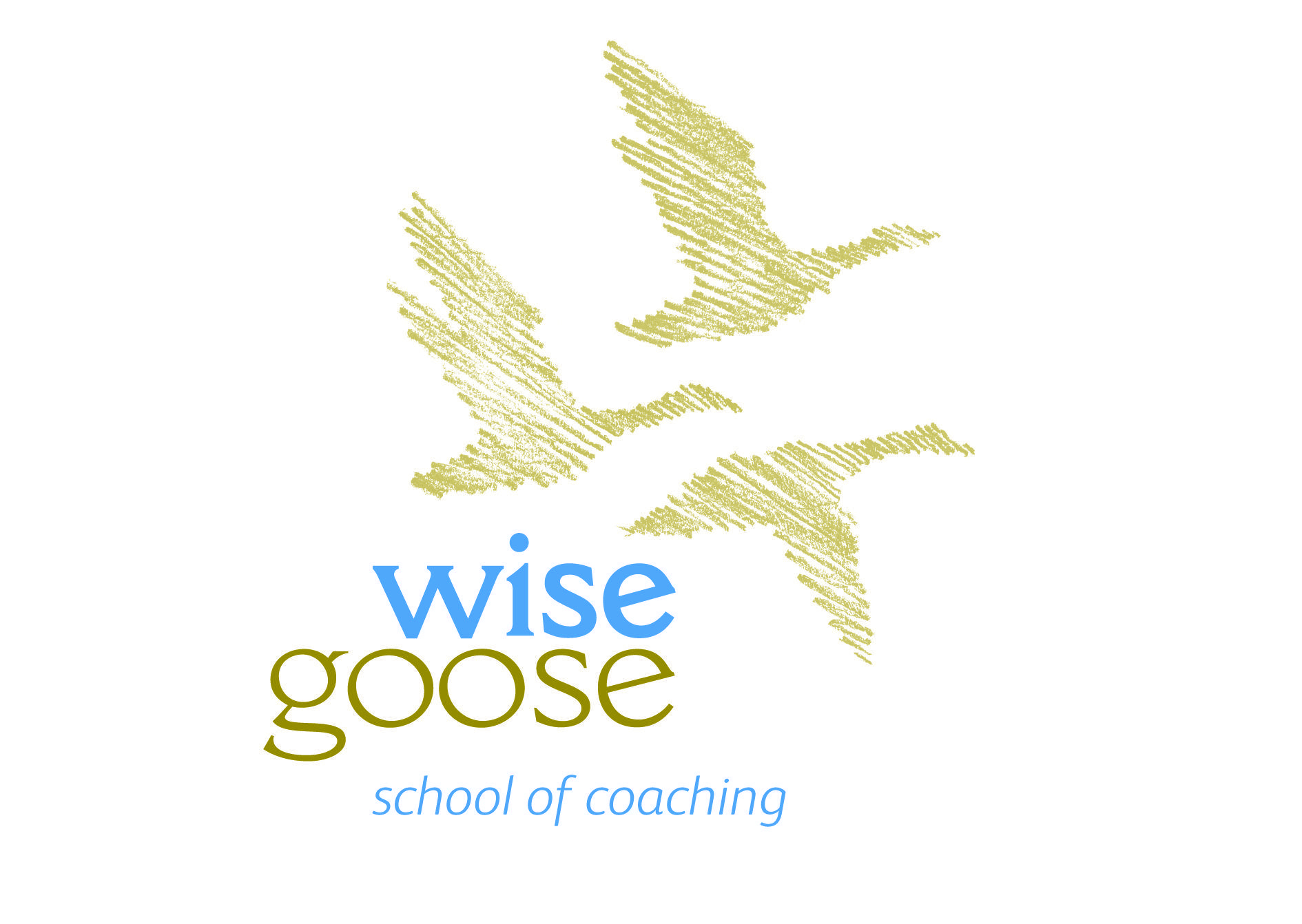 Goose Logo - A New 'person-centred' coach training – Wise Goose