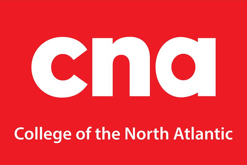 CNA Logo - CNA holding workshop series to help develop new strategic plan ...