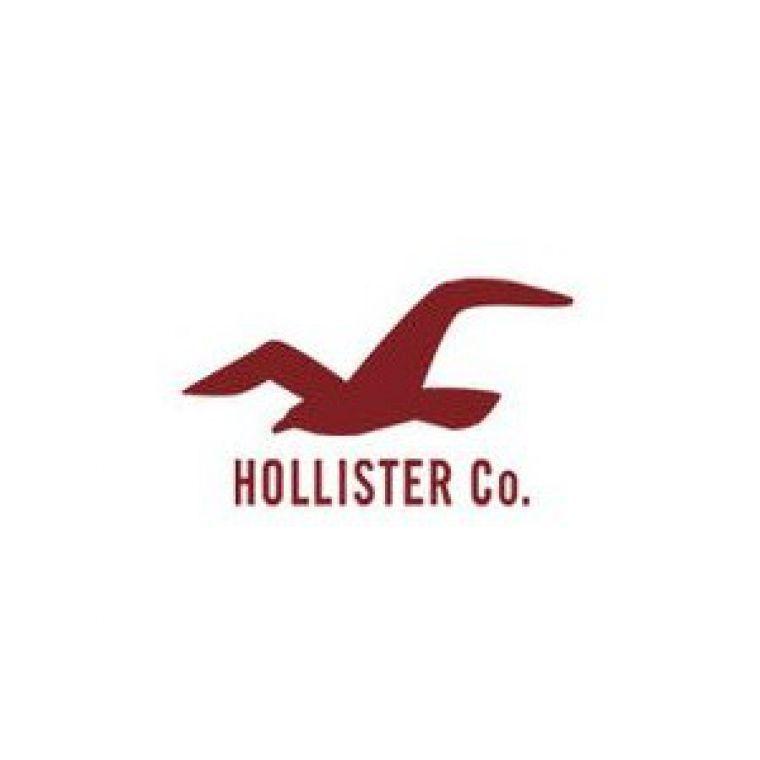 Hollester Logo - LogoDix