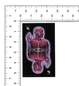 Skinless Logo - TOOL skinless man sticker logo | eBay