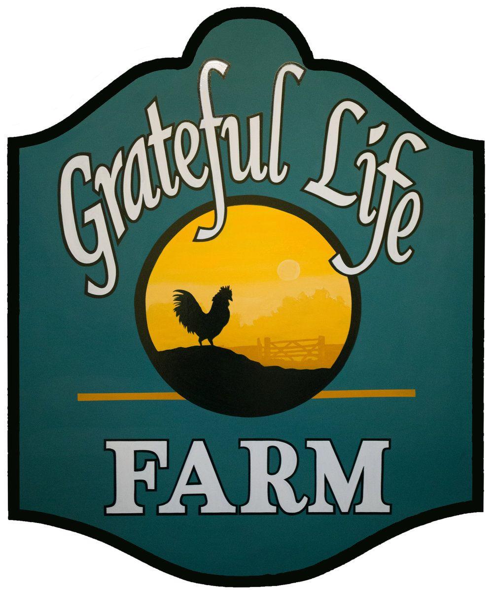 Skinless Logo - Boneless, Skinless Chicken Breast (Pack of 2) — Grateful Life Farm