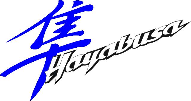 Hayabusa Logo - SUZUKI HAYABUSA STAINLESS INTAKE VALVE SET