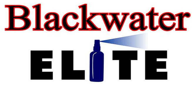 PBA Logo - File:Blackwater Elite PBA logo.png