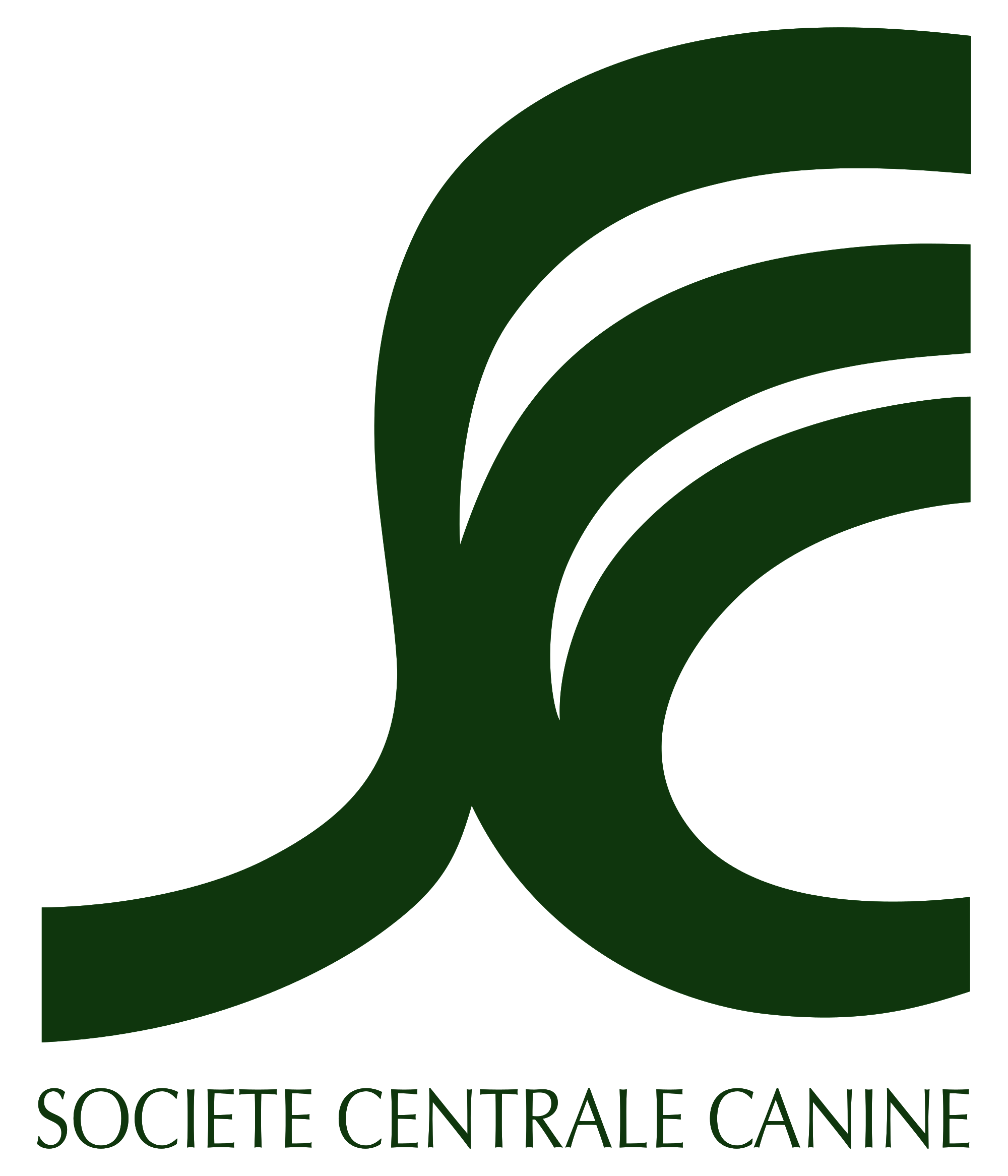 SCC Logo LogoDix