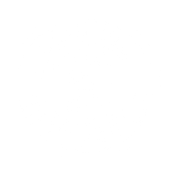 High Logo - Radnor High School / Overview