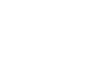 High Logo - Welcome to The Forest High School
