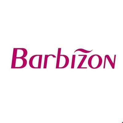 Barbizion Logo - New Barbizon Fashion, Inc. | Bride & Groom's Wear | The Wedding ...