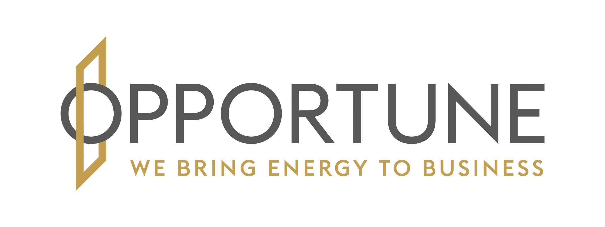 Petrohawk Logo - Opportune LLP Adds Shane Bayless as President of Outsourcing ...