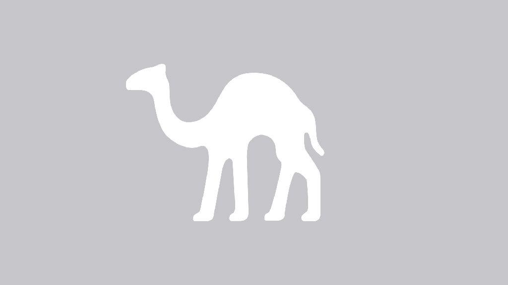 Kaltura Logo - Kaltura logo – NoCamels