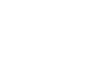 VSO Logo - Success story - DBD Media