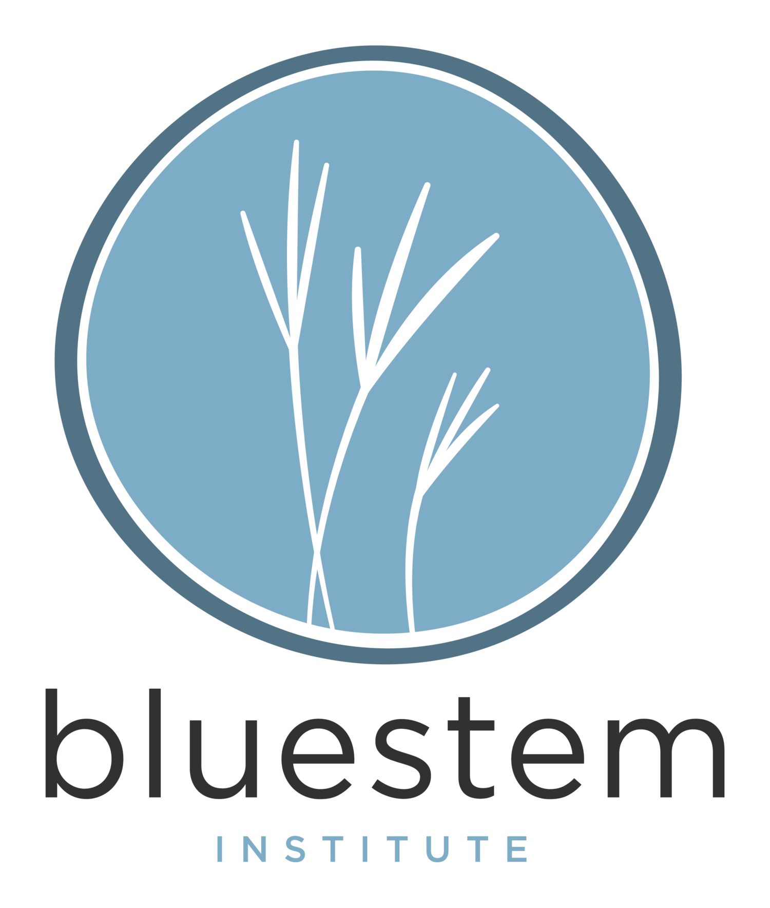 Bluestem Logo - The Bluestem Institute at Ames High School