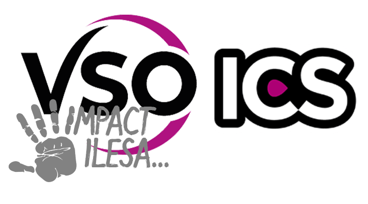 VSO Logo - Drinks & Pastries | Community Action Day – Impact Ilesa