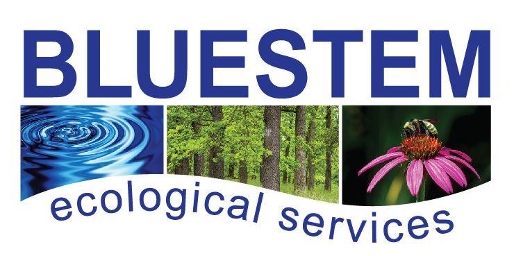 Bluestem Logo - BlueStem Logo