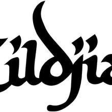 Zildjian Logo - Buy zildjian logo and get free shipping on AliExpress.com