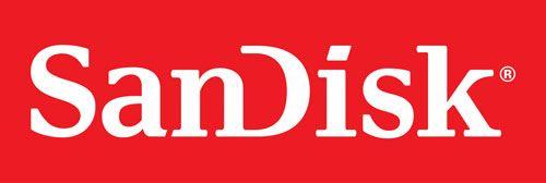 Scandisk Logo - SanDisk-Logo | Products I Love | Lighting logo, Logos, Logo branding