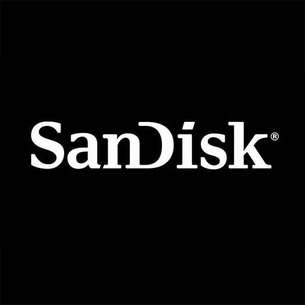 Scandisk Logo - Sandisk (2006) _ Conor Mangat, Brett Wickens, MetaDesign SF ...
