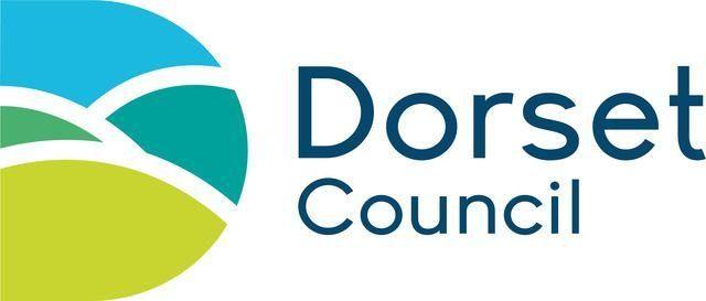 Council Logo - New Dorset Council logo