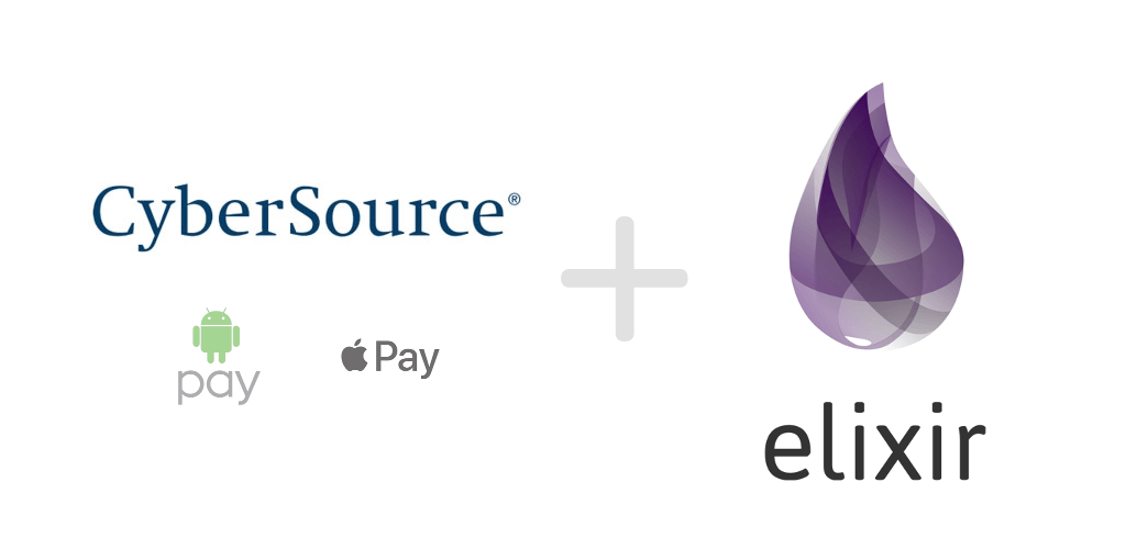 CyberSource Logo - CyberSource Payment System — The implementation guide using Elixir