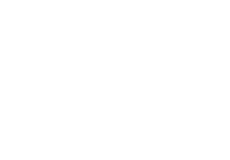 PrimusLabs Logo - Home