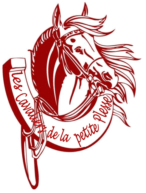 Ponygamer Logo - Les Cavaliers de la Petite Plesse